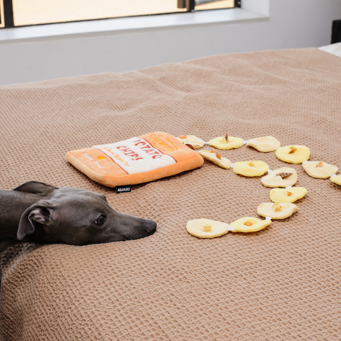 Potato Chips Interactive Snuffle Toy