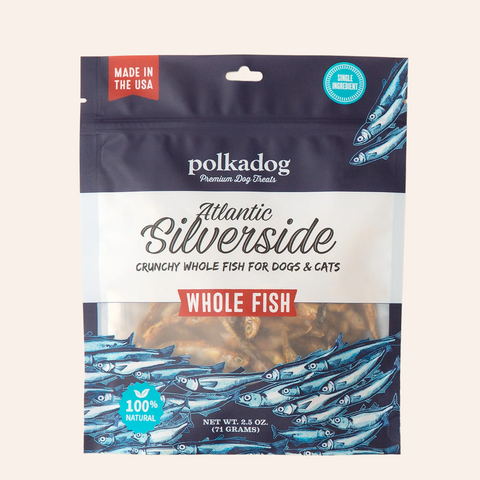 Polkadog Atlantic Silverside Fish