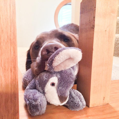 Jessica Bunny | Fluff & Tuff Dog Toy