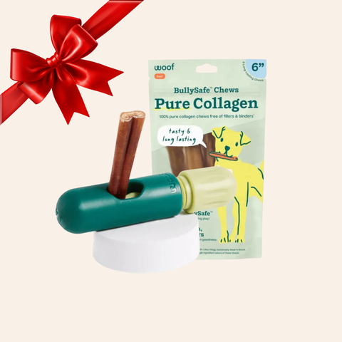 BullySafe Holiday Bundle