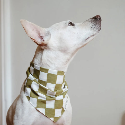 Checkmate Dog Bandana