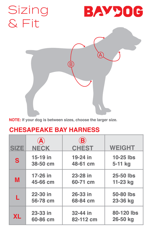 Chesapeake Bay Dog Harness: Sea Foam