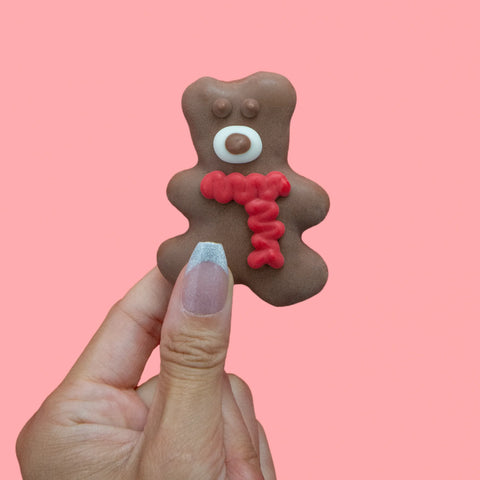 Have a Beary Holiday | Gourmet Dog Mini Cookie