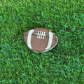 Classic Football | Gourmet Dog Cookie
