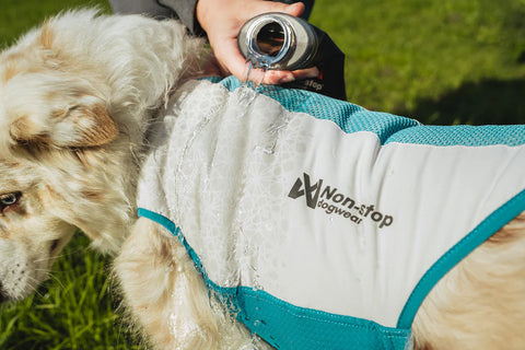 Cooling Vest