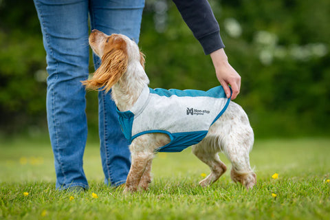 Cooling Vest