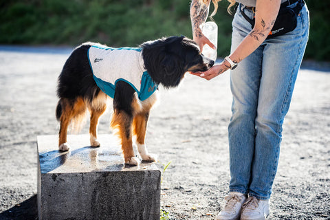 Cooling Vest
