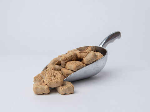 Salmon Biscuits | Crunchy Dog Treats