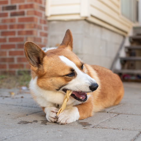 Braided Beef Collagen Sticks