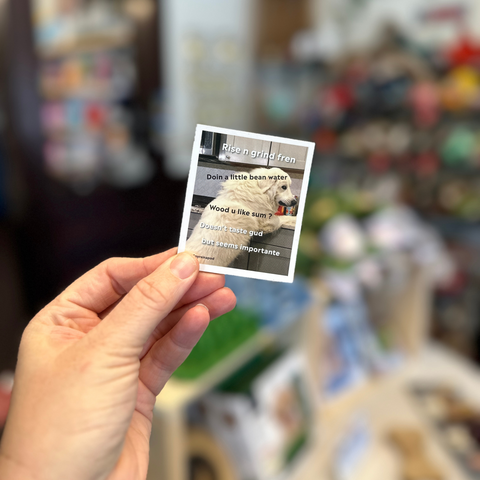Doggos Doing Things Magnet Set