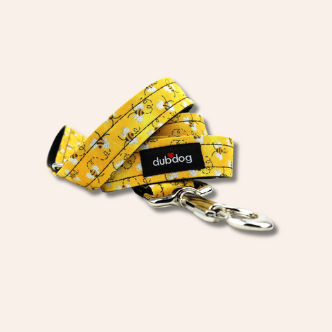 Buzz Dog Leash