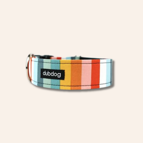 Steel Stripes Dog Collar