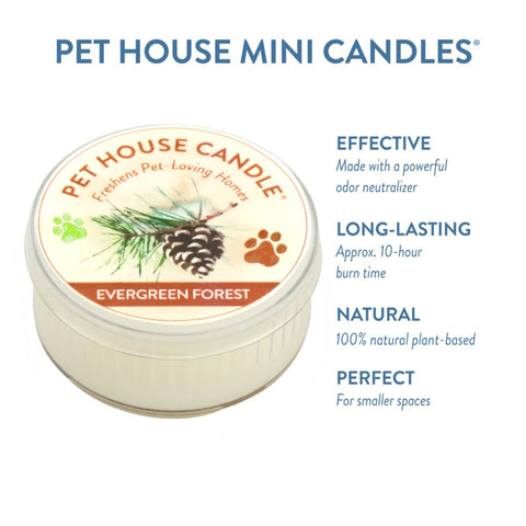 Evergreen Forest | Pet Safe Candle