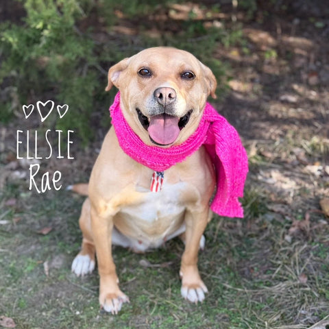 Ellsie Rae