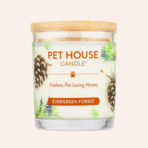 Evergreen Forest | Pet Safe Candle