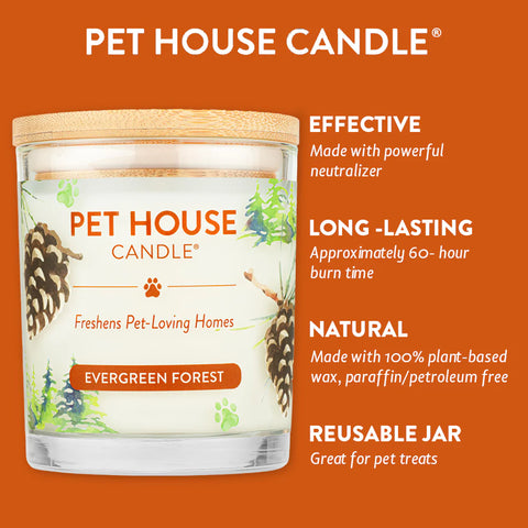 Evergreen Forest | Pet Safe Candle