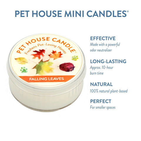 Falling Leaves | Pet Safe Candle