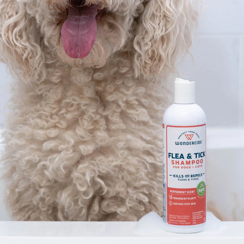 Wondercide Flea & Tick Shampoo for Dogs + Cats with Natural Essential Oils