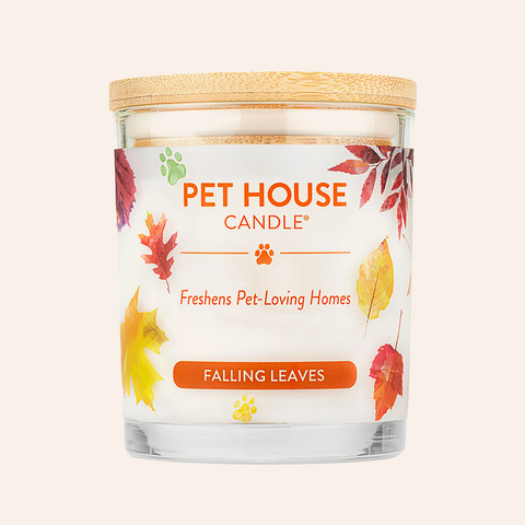 Falling Leaves | Pet Safe Candle