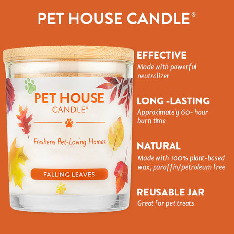 Falling Leaves | Pet Safe Candle