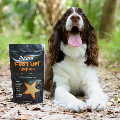 Diggin FIRM UP! Pumpkin Digestive Aid Supplement