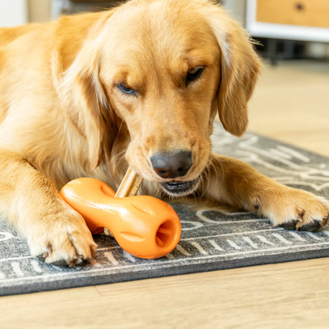 West Paw Dental Sticks