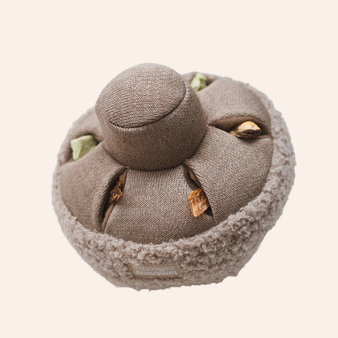 Guu Nosework Mushroom Toy