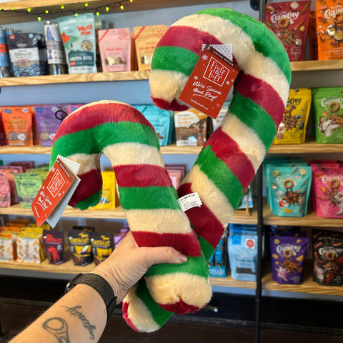Candy cane-shaped toy held by a person with a store shelf in the background