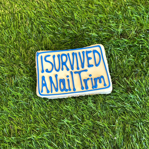 I Survived A Nail Trim | Gourmet Dog Cookie