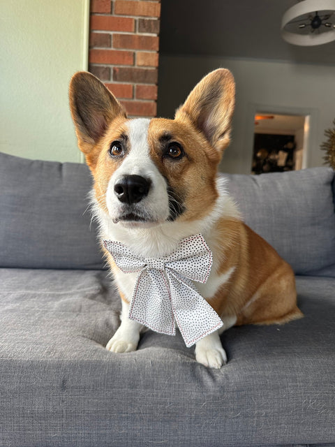 Handmade Dalmatian Polka Dot Bow