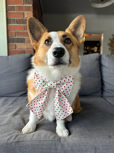 Handmade White Polka Dot Bow