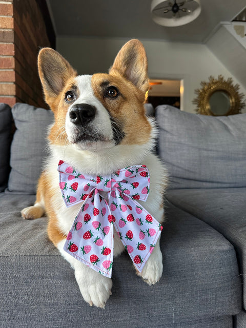 Handmade Sweet Strawberries Bow