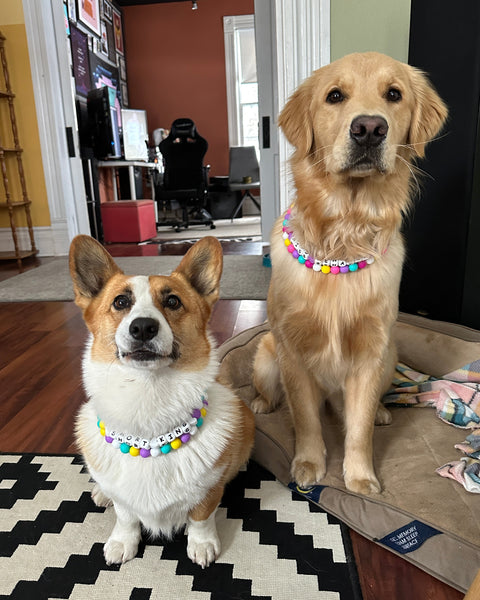 Custom Friendship Bracelet Dog Collar