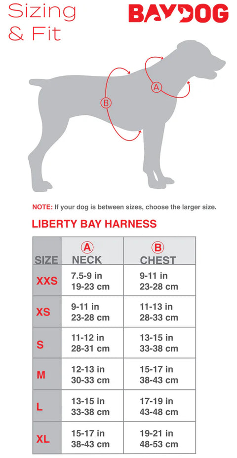 Liberty Bay Dog Harness: Sea Foam