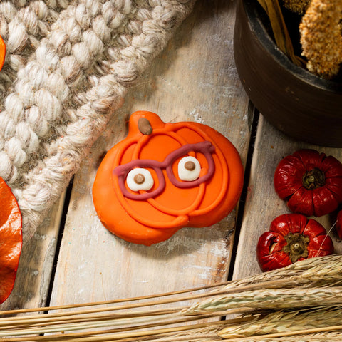 Pumpkins with Specs Appeal