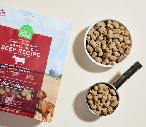 Open Farm grass-fed beef recipe dog food packaging with bowls of dog food on a beige background