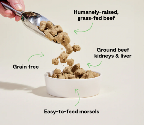 Dog food being scooped into a bowl with text highlighting ingredients