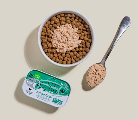 Pet food container with a spoonful of pet food on a beige background