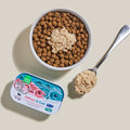 Dog food bowl with kibble and a spoonful of dog food next to a can of Mousse salmon and cod dog food on a beige background.