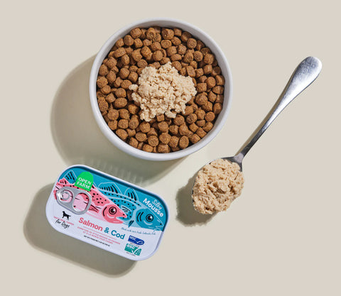 Dog food bowl with kibble and a spoonful of dog food next to a can of Mousse salmon and cod dog food on a beige background.