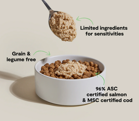 Dog food in a bowl with text highlighting ingredients and certifications on a beige background