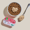Dog food bowl with kibble, a spoon with kibble, and a can of salmon dog food on a beige background.