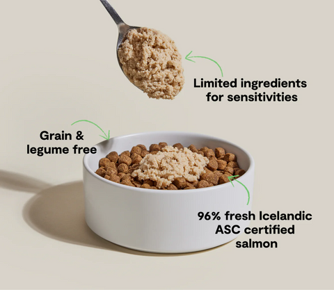 Dog food bowl with ingredients labeled on a beige background