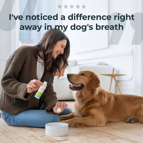 Oxyfresh Pet Dental Kit