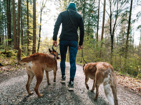 Rock Adjustable Leash