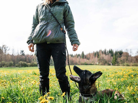 Rock Adjustable Leash