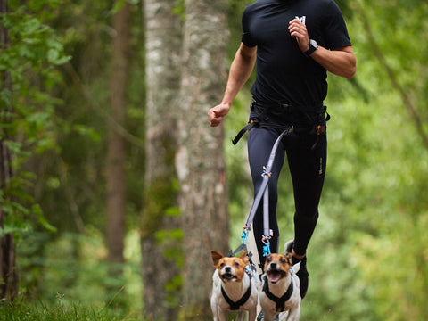 Touring Double Leash