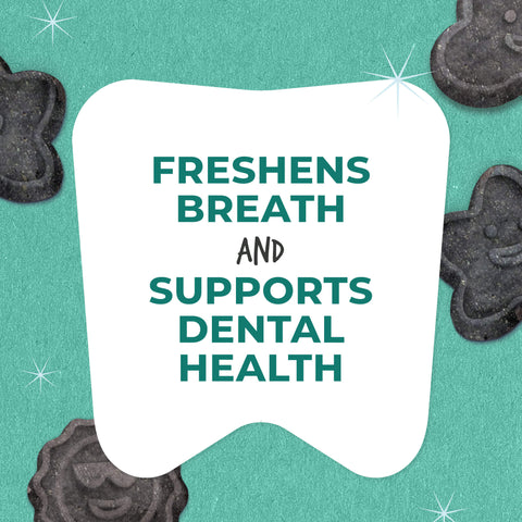 Dental Biscuits | Crunchy Dog Treats