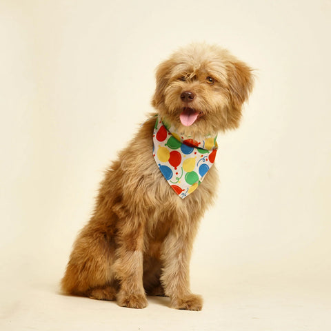 Party Animal Dog Bandana