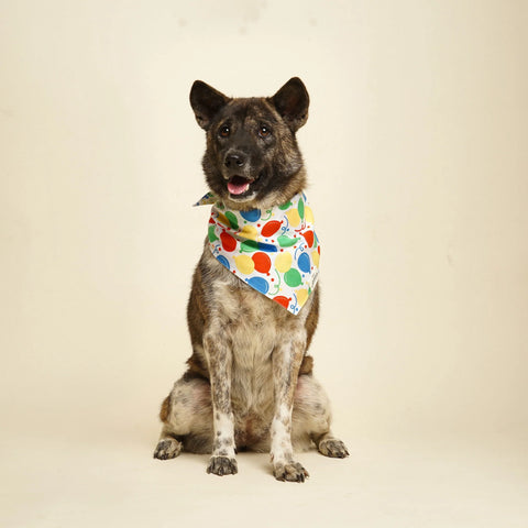 Party Animal Dog Bandana